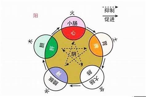 壬戌年五行|壬戌年五行属性是什么 壬戌年生人是什么命